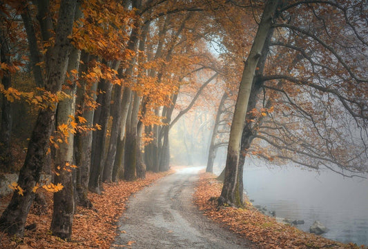 Autumn Landscape Photography: Where to Go, What to Shoot & Gear You Need - OTEX