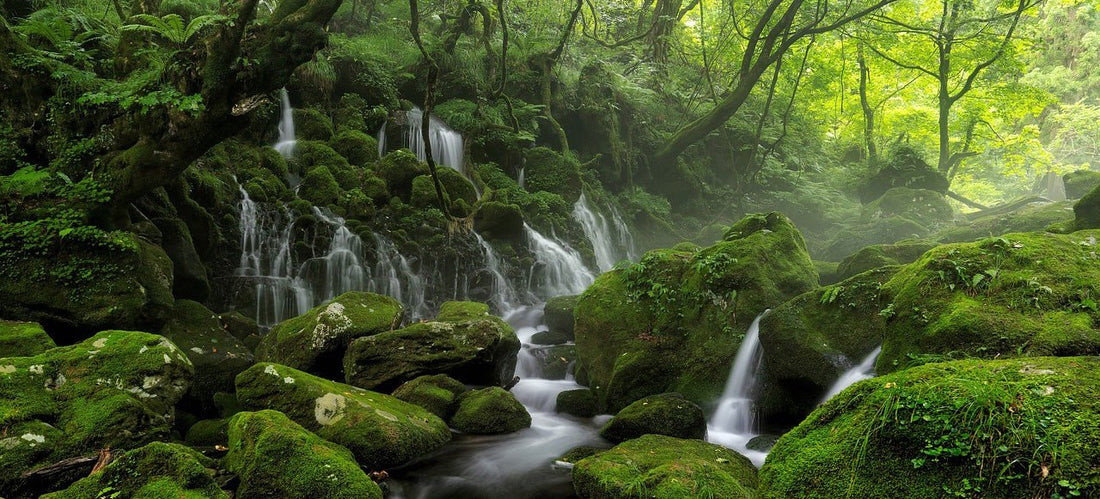 Why Every Photographer Needs Waterproof Socks in Their Kit - OTEX